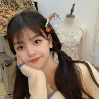 戴洛奇小镇第一季