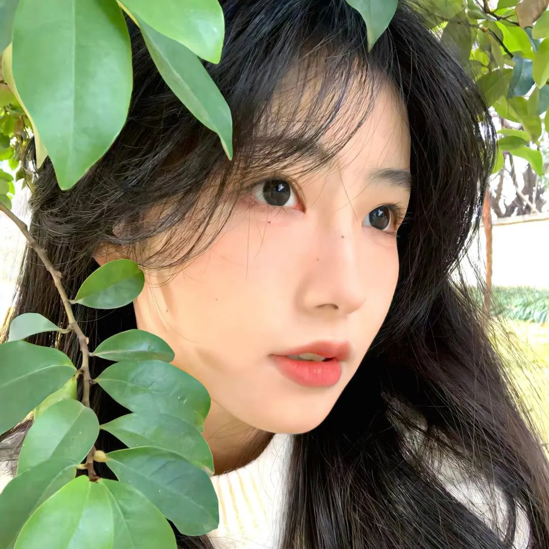 口碑佳片